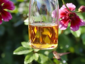 homemade hummingbird food recipe